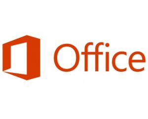 Microsoft Office Home & Business 2019 1 licencia(s) Plurilingüe