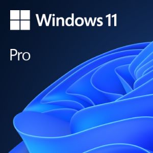 Microsoft Windows 11 Pro Producto empaquetado completo (FPP; full packaged product) 1 licencia(s)